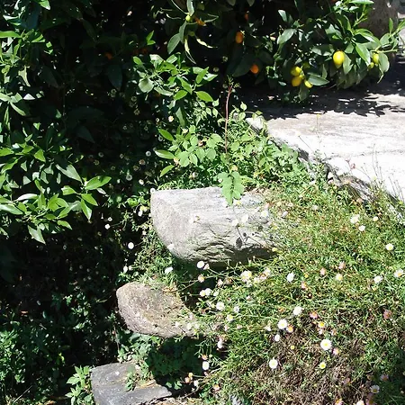 Casa Perini * Tenero-Contra