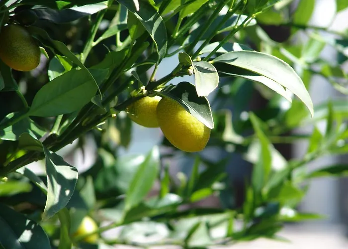 בית נופש Casa Perini