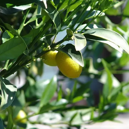 Holiday home Casa Perini