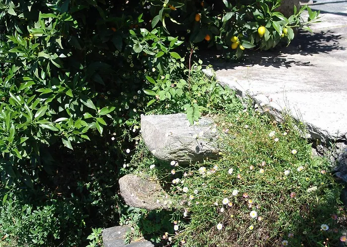 Casa Perini * Tenero-Contra